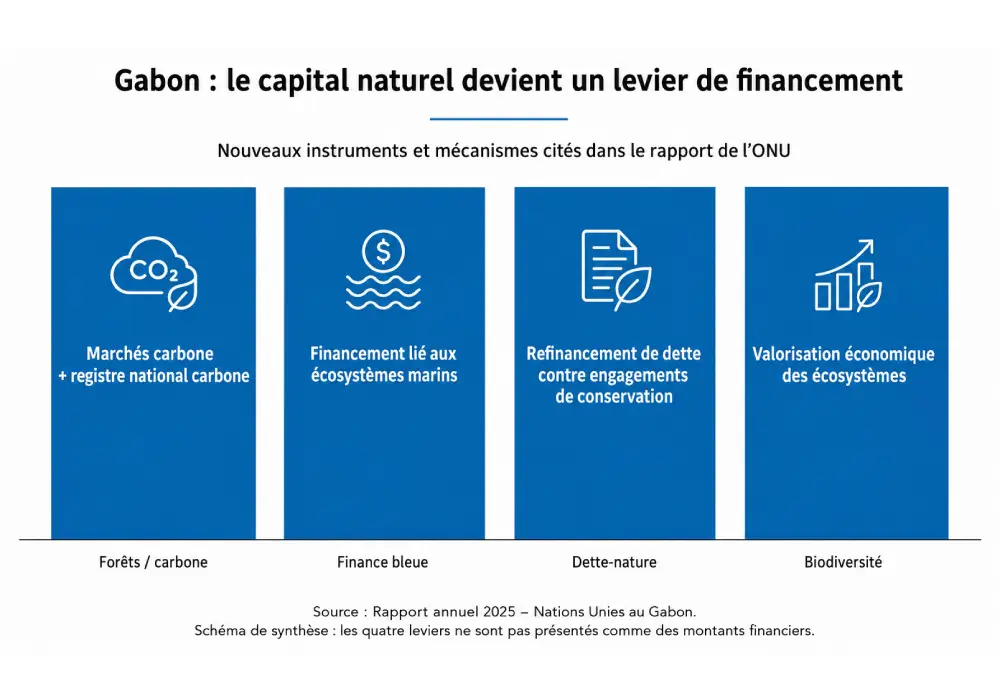 Gabon : le capital naturel, nouvelle frontière du financement