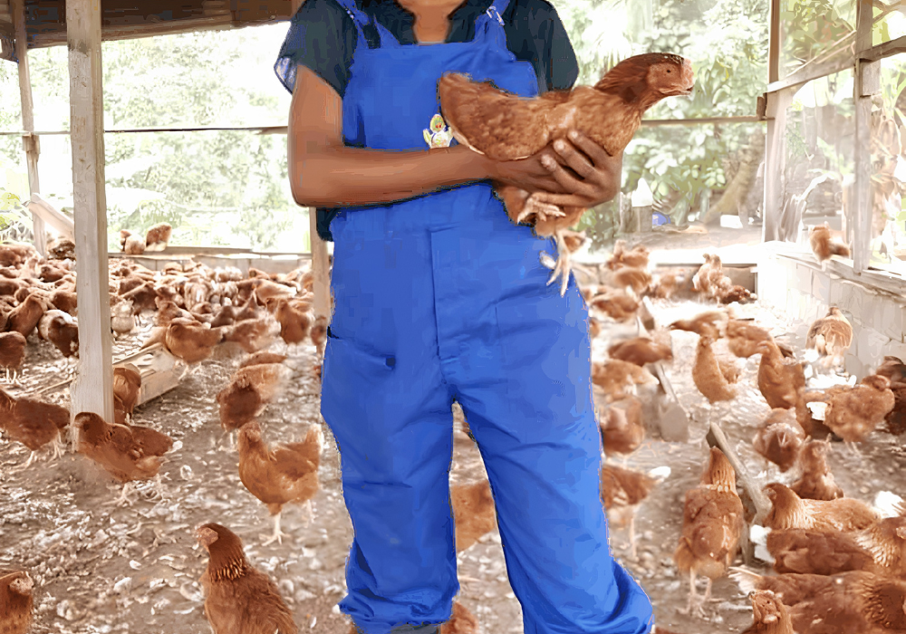 En 2027, le Gabonais pourra-t-il acheter un poulet produit au Gabon ?