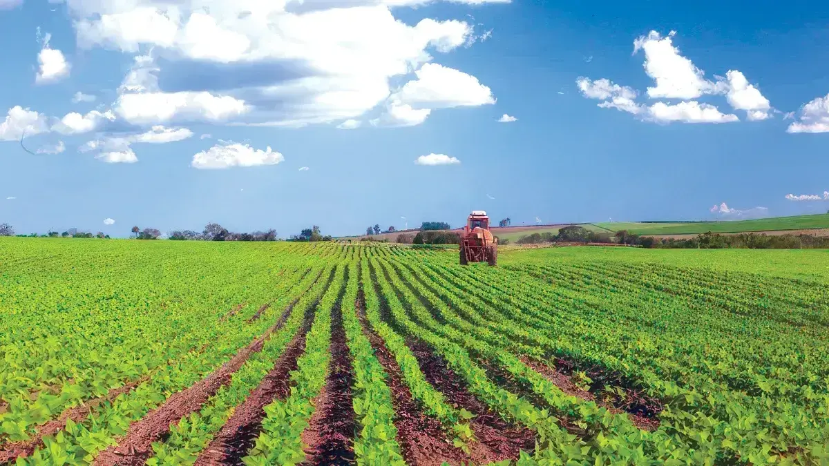 AGRICULTURE : POLITIQUE DE L’ÉTAT ET INITIATIVES DES BAILLEURS