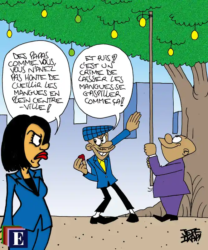 Image du jour