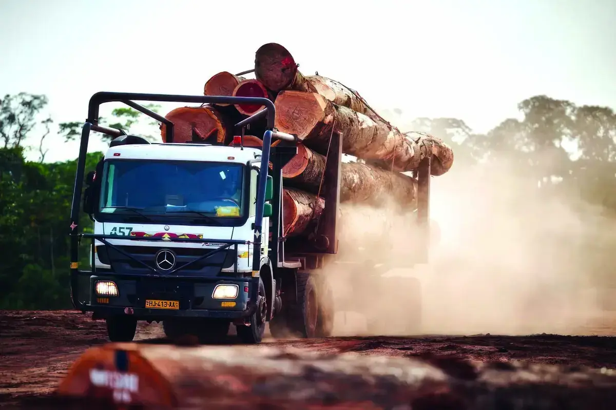 FILIÈRE BOIS: LE GABON ENREGISTRE UN REPLI DE 6,6% DE L’ACTIVITÉ AU 4e TRIMESTRE2024