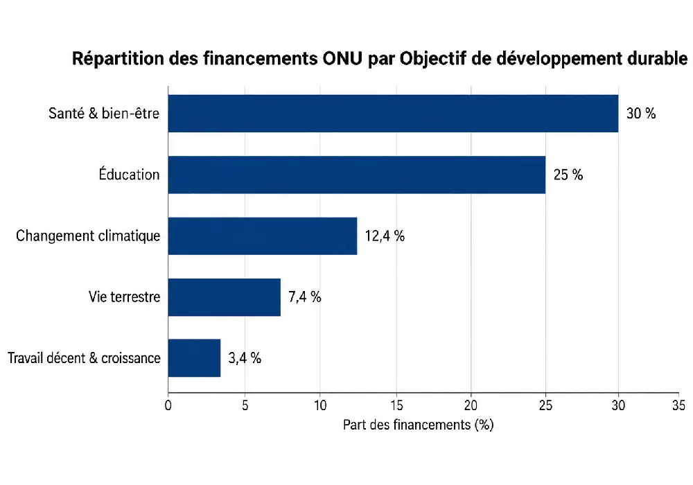 ONU au Gabon : 10,4 milliards de FCFA mobilisés en 2025, où va l’argent du développement ?